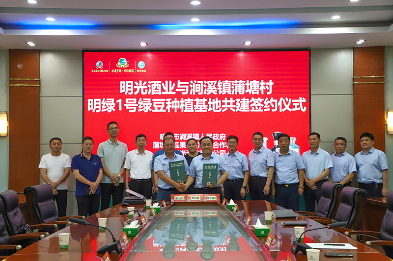 c7娱乐酒业举办绿豆基地共建签约仪式