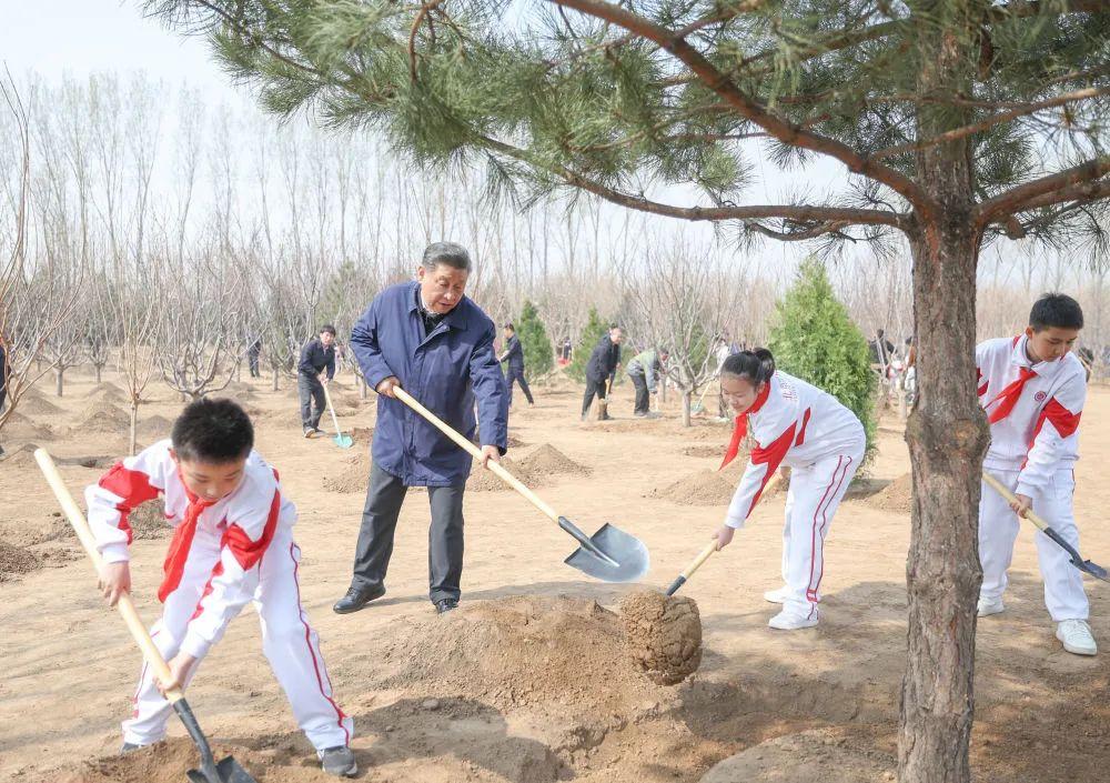 习近平在参加首都义务植树活动时强调  全民植树增绿 共建美丽中国