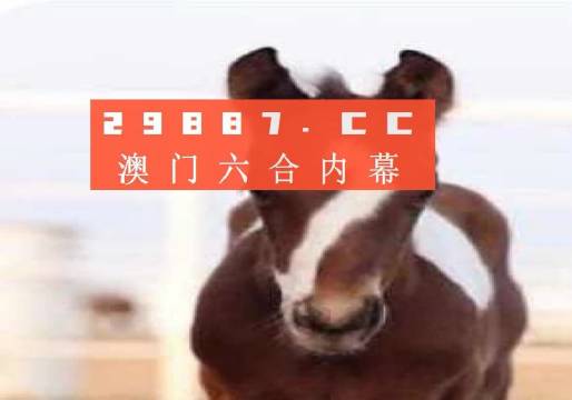 澳门一肖一码一一恃一中，探索与解析，澳门一肖一码一一精准解析，探索背后的秘密