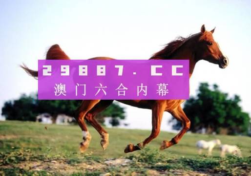 澳门一肖一码一待一中，探索背后的神秘与魅力，澳门一肖一码一待一中，揭秘背后的神秘魅力