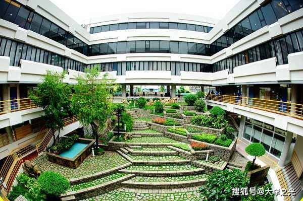 芳草地澳门免费资料，探索与发现的旅程，芳草地澳门免费资料，探索与发现的旅程启程