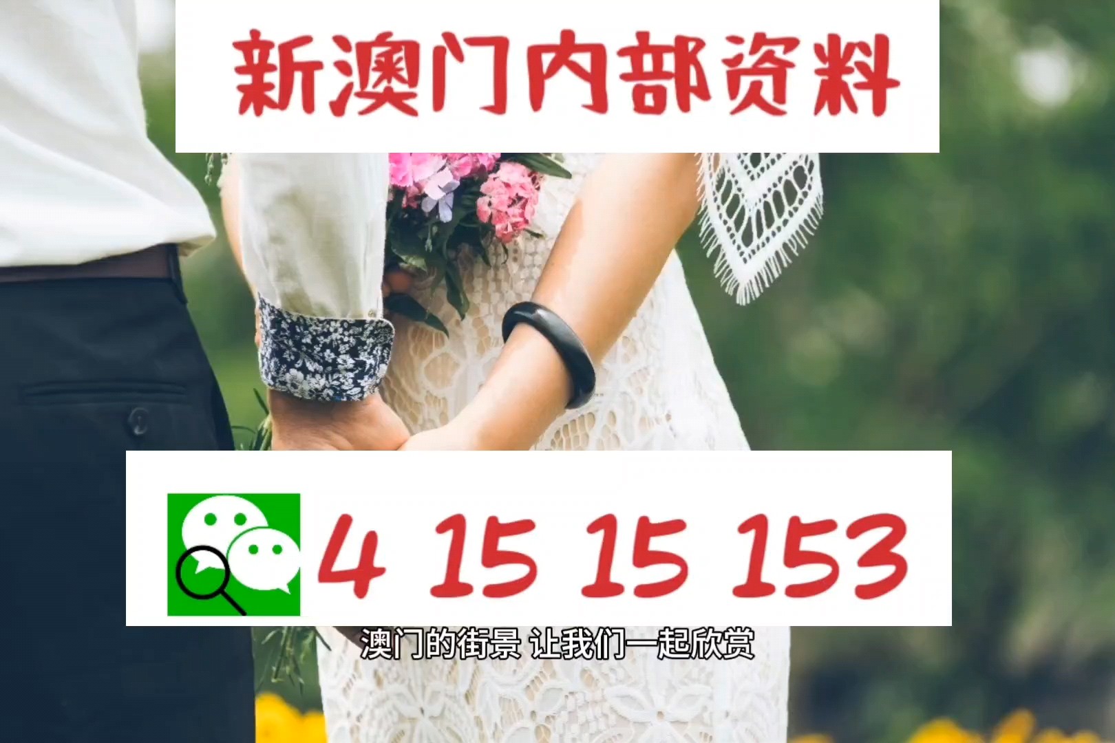 澳门100斯看图抓码