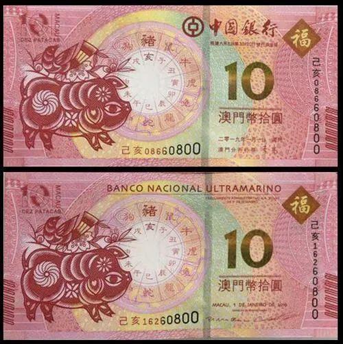 澳门天天彩期期精准十二生肖预测，揭秘彩票背后的秘密，澳门天天彩期期精准十二生肖预测揭秘，彩票背后的秘密大揭秘