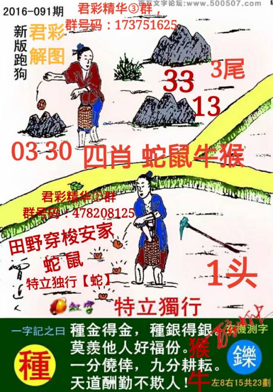 探索正版跑狗图，今日7777788888背后的故事与启示，揭秘正版跑狗图背后的故事与启示，今日数字7777788888的启示与探索