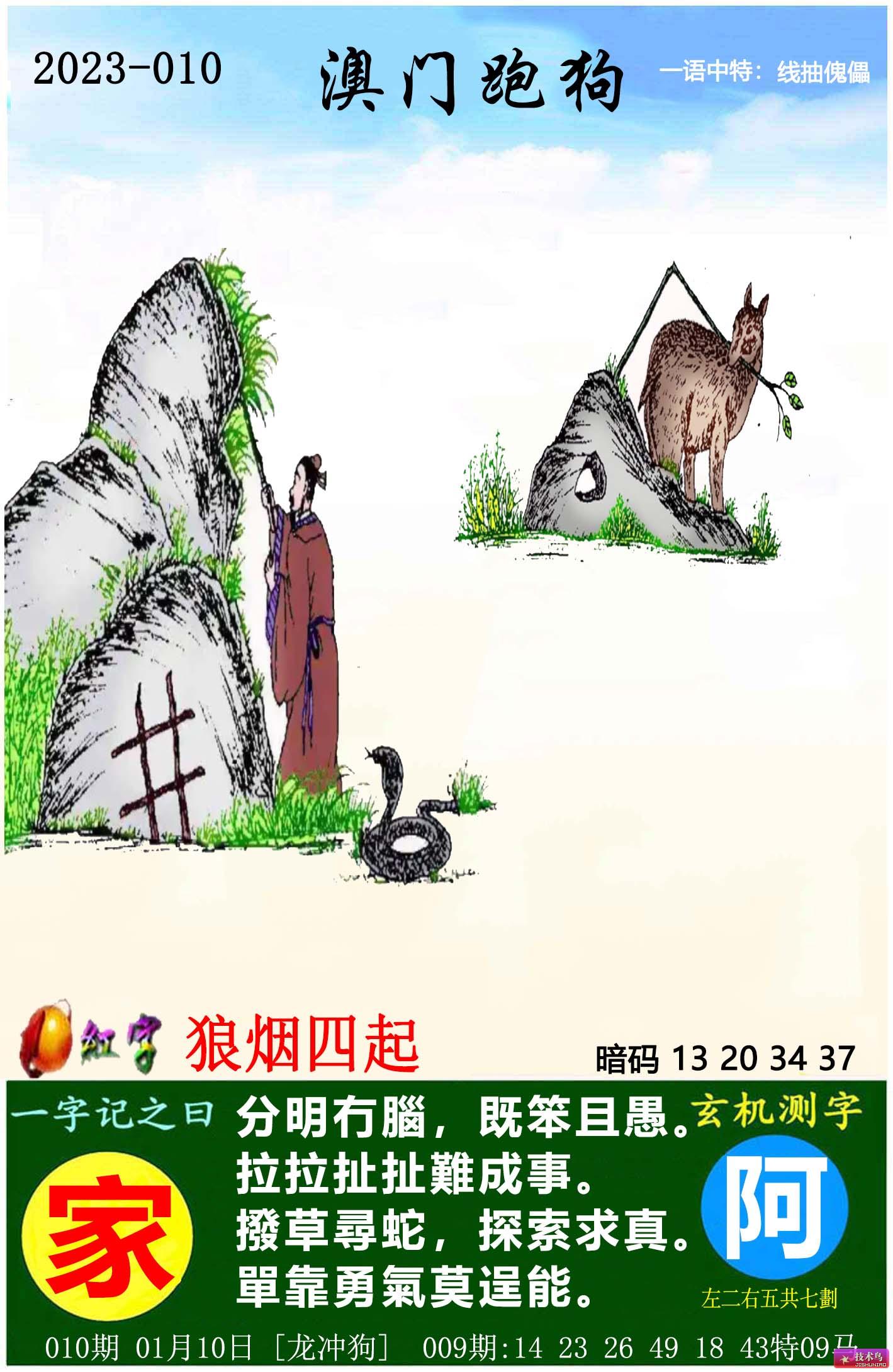 探索最新跑狗图2025高清图片版，热门趋势与独特魅力，最新跑狗图2025高清版，热门趋势与独特魅力探索