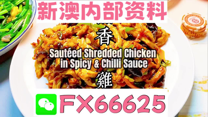 探索未来，揭秘2025年全新免费资料大全新奥精的来源与受益者，揭秘未来，揭秘2025年全新免费资料大全新奥精的来源与受益群体探索