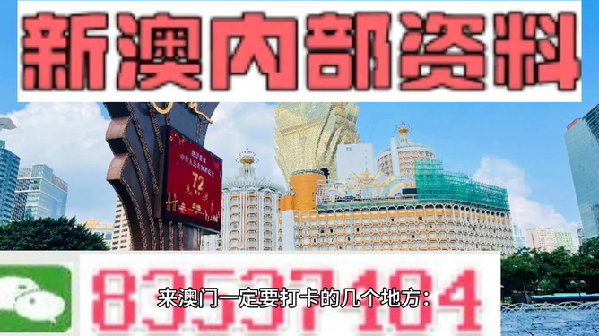 澳门最准资料免费网站更新正版，探索真实信息的海洋，澳门正版资料更新，探索真实信息的免费网站