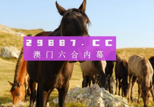 澳门管家婆一肖中特与香港阿飞免费印刷图库的精彩世界，探索2024澳门天天开好彩大全的奥秘，澳门与香港特色文化探索，管家婆一肖中特与阿飞图库的精彩世界及2024澳门彩谜大全揭秘