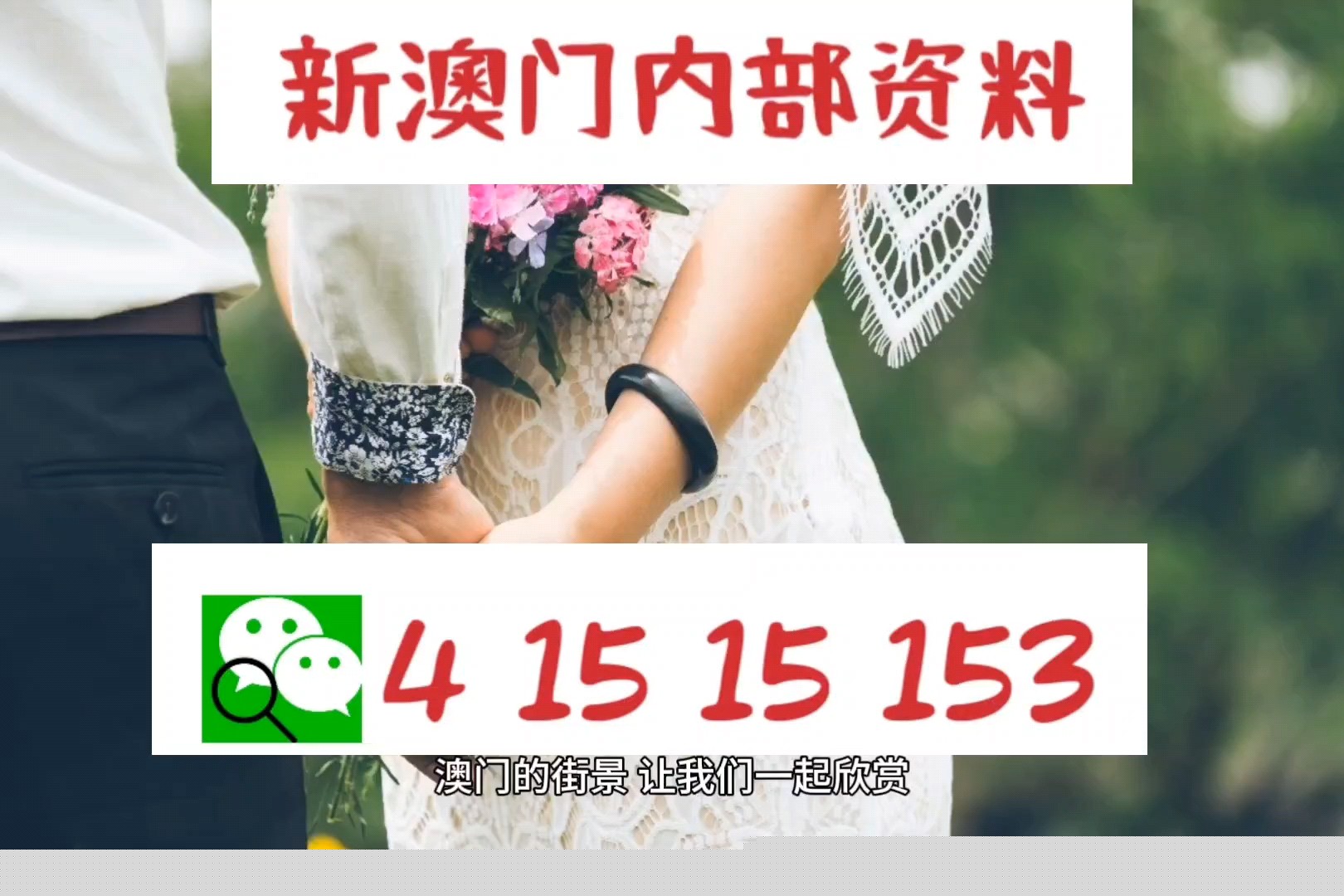 新澳的资料去哪里找——全面指南，新澳资料全攻略，寻找资料的途径与指南