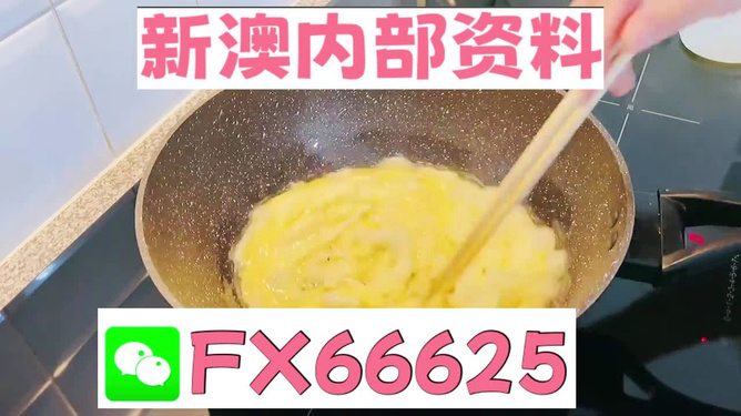 澳门九点半9点半网站——探索与体验，澳门九点半网站，探索与体验之旅