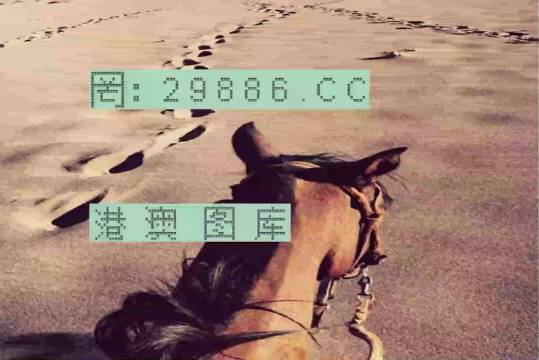 香港特马资料王中王24期，深度解析与探索，香港特马资料王中王深度解析与探索，第24期探索之旅