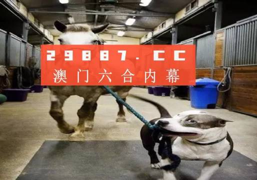 同舟共济的揭秘与策略