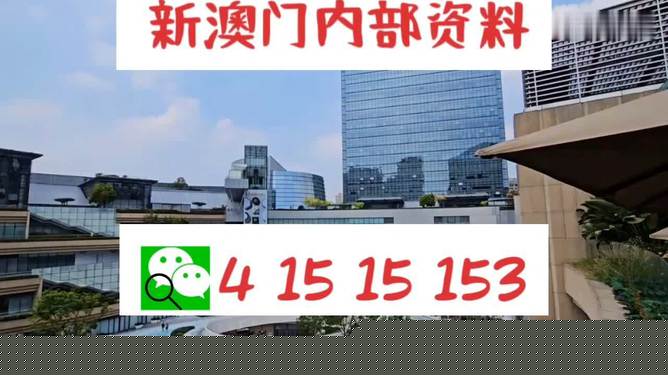 新澳门料，探索与揭秘，新澳门料，揭秘与探索之旅