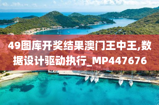 2025年新奥正版免费大全，全面解析与深度探索，2025年新奥正版免费大全详解与深度探索