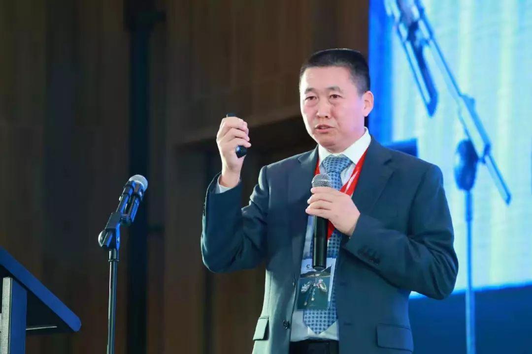 关于2025年免费资料大全新奥精谁免的全方位解析，2025年免费资料大全新奥精全方位解析与特点揭秘