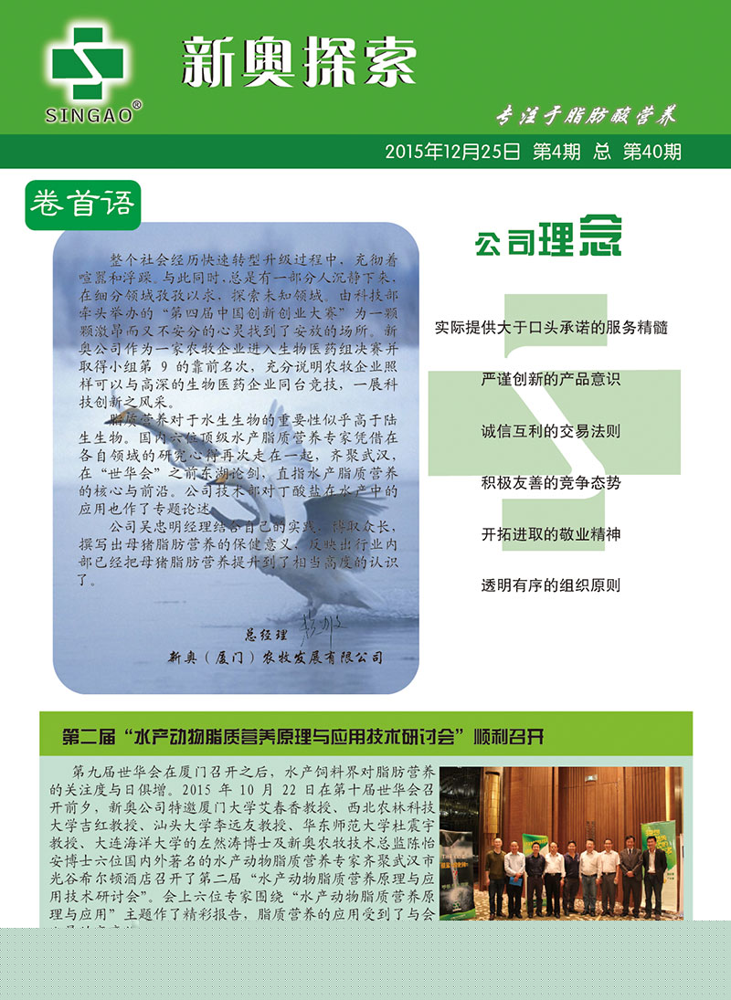 2025新澳正版资料查询指南，2025新澳正版资料查询手册