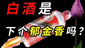 新奥今晚9:30分即将开启的神秘活动，期待你的参与！，新奥神秘活动即将开启，今晚9:30分，期待你的参与！