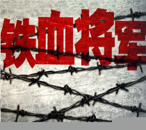 铁血网现状深度解析，探索其发展历程与现状，铁血网深度解析，发展历程与现状探索