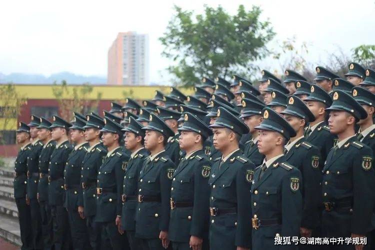 关于2023年直招军士条件的全面解析，2023年直招军士条件全面解读