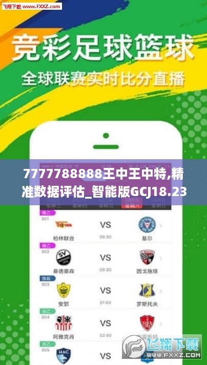 王中王中特选点评