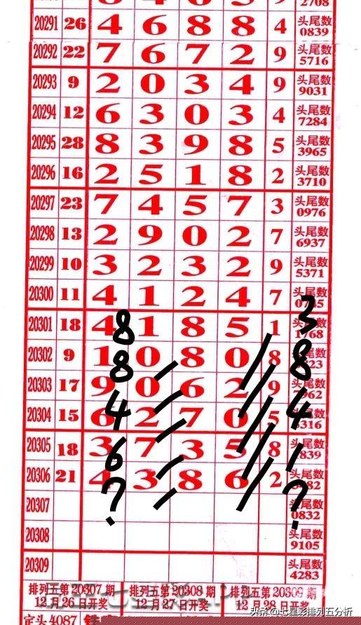 揭秘四肖八码，深度解析其含义与背后原理，揭秘四肖八码，深度解析含义与原理探究