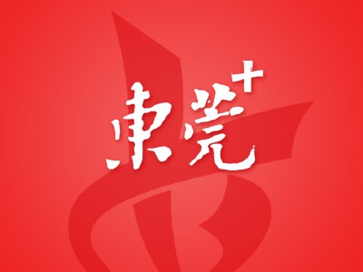4887铁算资料大全——探索与解析，4887铁算资料大全详解，深度探索与全面解析