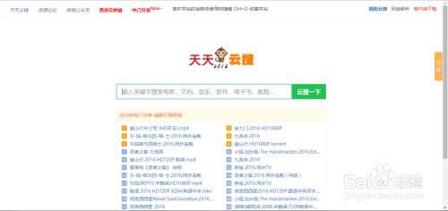王中王一肖与百度网盘，探索数字时代的独特魅力，王中王一肖与百度网盘，数字时代的独特魅力探索