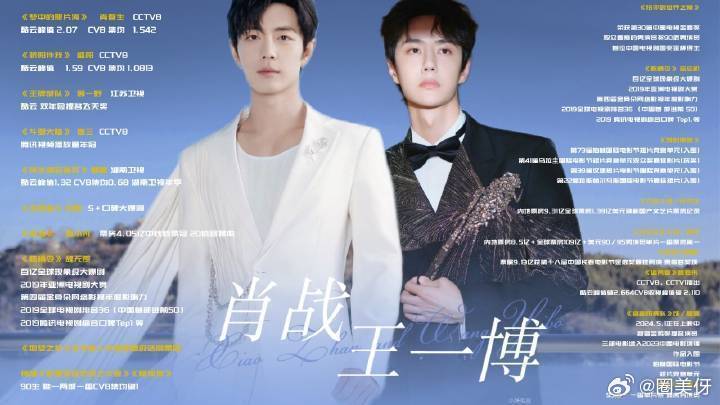 王中王一肖资料详解，王中王一肖资料大全解析