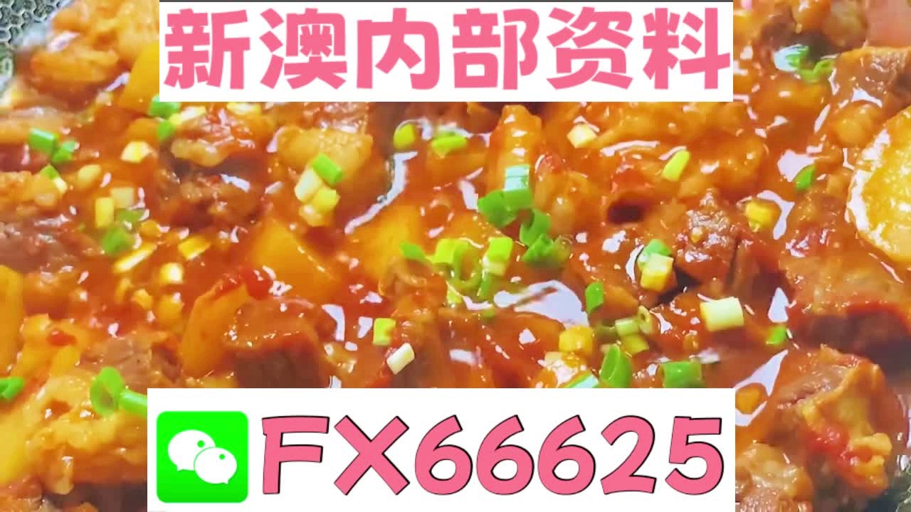 新奥2025正版资料大全，全面解析与深度探索，新奥2025正版资料大全，全面解析与深度探索揭秘