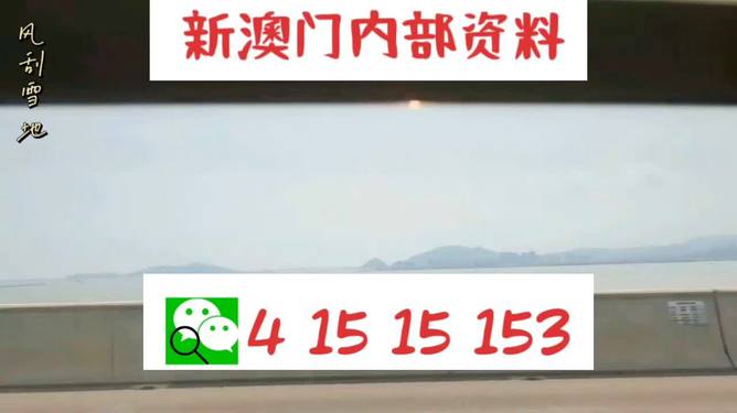 新澳门码精准资料，揭秘与探索，揭秘新澳门码精准资料探索之旅