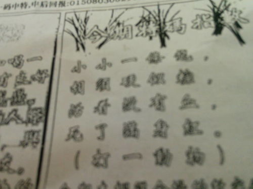 刘伯温平特一肖127期，揭秘历史传奇与SEO奥秘，刘伯温平特一肖揭秘传奇历史与SEO玄机