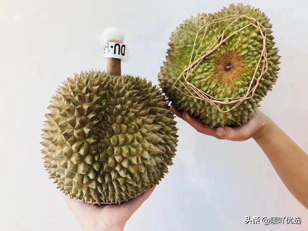 王中王一肖码水果奶奶，探寻背后的故事与SEO奥秘，王中王一肖码水果奶奶背后的故事与SEO奥秘探寻