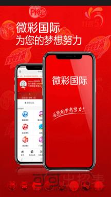 最新动态查询