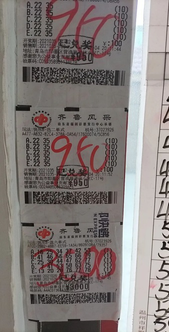 百分百王中王平特一肖，深度解析与探索，百分百王中王平特一肖，深度解析与探索揭秘