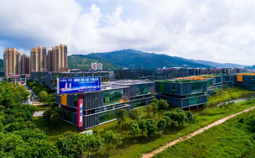 新澳门最精准，探索澳门的精准旅游魅力，澳门精准旅游魅力探索
