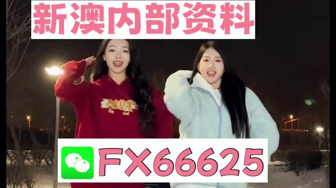 一码一肖一特一，揭秘背后的秘密与奥秘