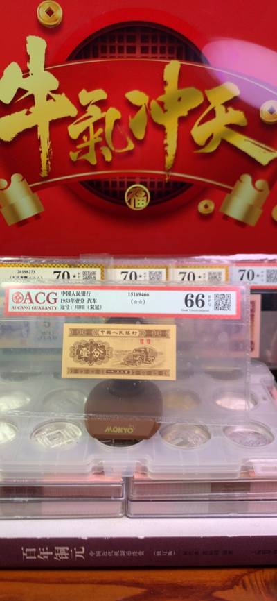 王中王30期指一生肖，揭秘生肖运势与独特魅力，揭秘生肖运势与独特魅力，王中王生肖预测第30期揭晓！