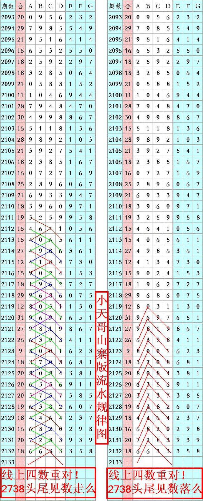 揭秘六开彩王中王平持一肖图的奥秘，揭秘六开彩王中王平持一肖图的秘密