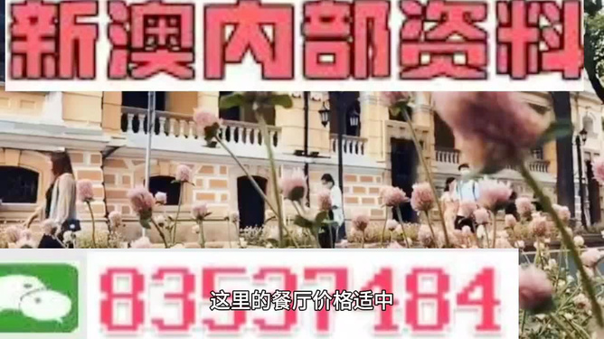 澳门最精准免费资料大全旅游团，探索澳门之旅的完美选择，澳门最精准免费资料大全旅游团，探索澳门之旅的不二之选