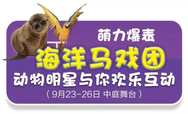 新奥门天天开奖资料大全，全面解析与深度探索，新奥门天天开奖资料大全，全面解析与深度探索揭秘开奖秘密