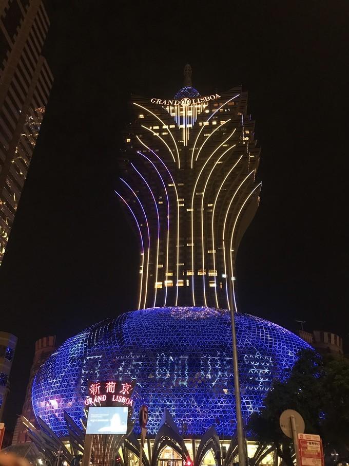 一肖澳门，探索与解析，澳门一肖，探索与解析