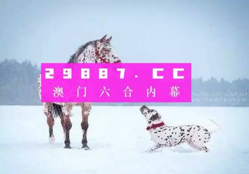 澳门一肖一码状元红，揭秘彩票背后的秘密与策略，澳门彩票揭秘，状元红背后的秘密与策略解析
