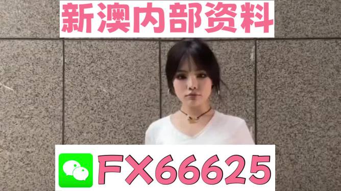 澳门文化与历史深度探索