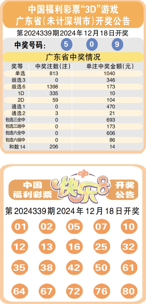 揭秘493333王中王彩票开奖流程与快速查询方法，揭秘彩票王中王开奖流程与快速查询攻略