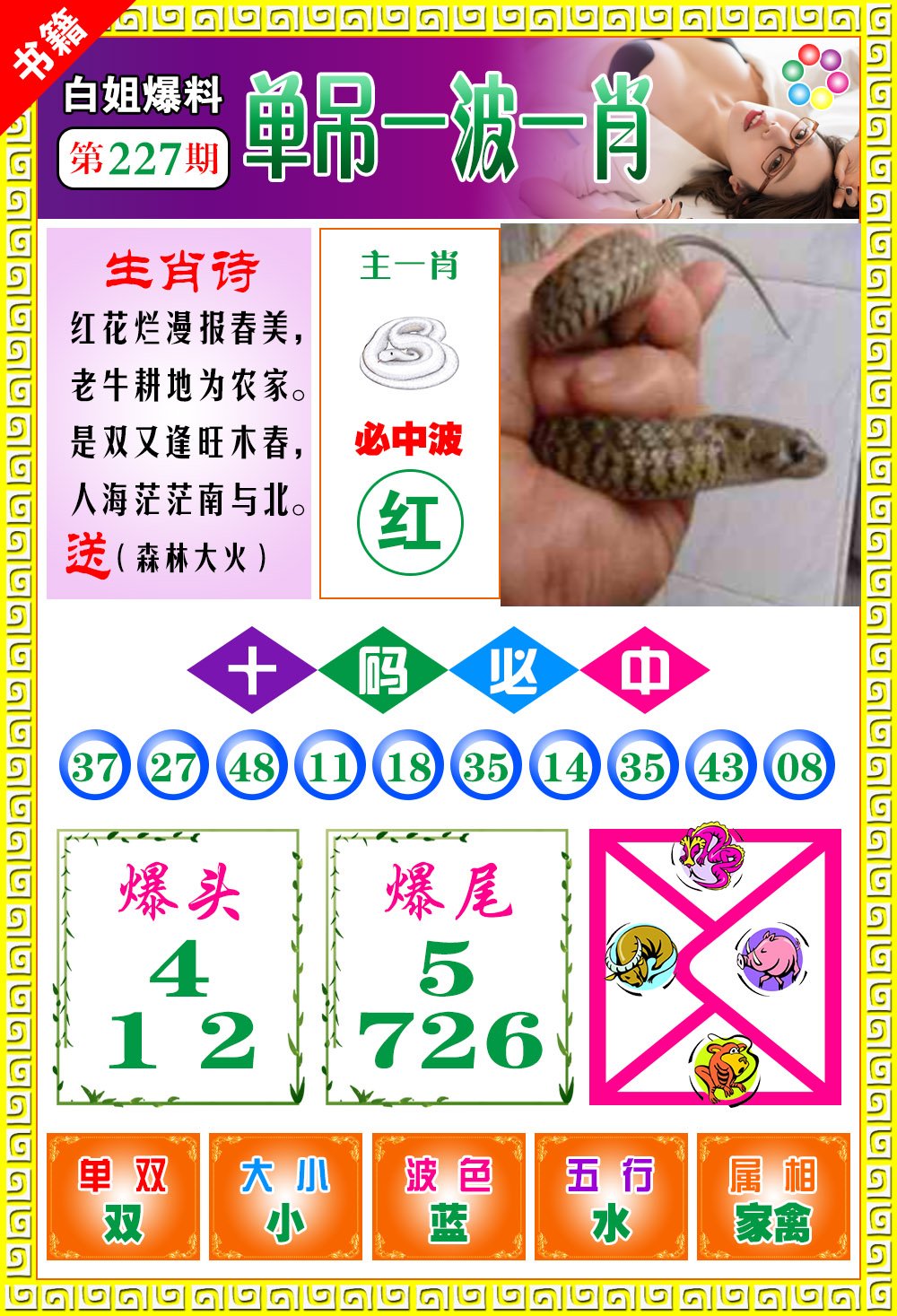 王中王开奖最准一肖——揭秘彩票预测的真相，揭秘彩票预测真相，王中王开奖最准一肖预测是否真实可靠？