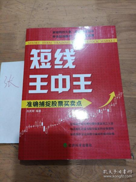 王中王平特一肖，深度解析与探索，王中王平特一肖深度解析与探索心得