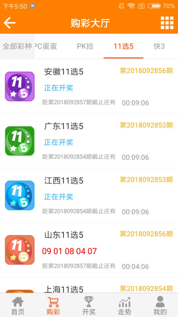 王中王论谈资料一肖中特，深度解析与SEO优化策略，王中王论谈资料一肖中特深度解析与SEO策略优化探讨