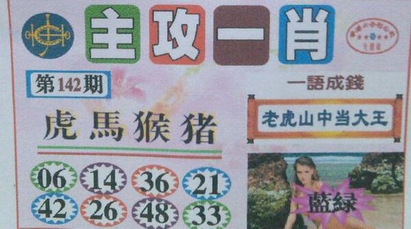 今期生肖王中王，揭秘生肖魅力与特点——生肖详解与运势展望，生肖王中王详解，揭秘魅力与特点，展望运势展望