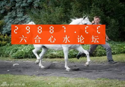 王中王马数一肖中特，探寻背后的故事与奥秘，探寻王中王马数一肖中特背后的故事与奥秘