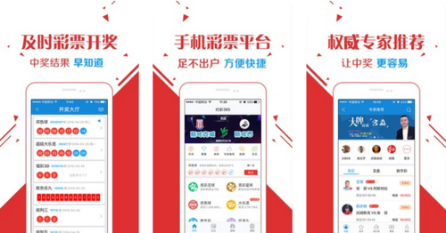 王中王玄机一肖资料解析与SEO优化策略探讨，王中王玄机生肖资料解析与SEO策略深度探讨